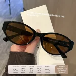 고급 패션 트렌드 UV 방지 편광 거리 사진 선글라스를 갖춘 여성용 맞춤형 타원형 고양이 눈 선글라스 - 이미지 5