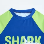 2025 소년 수영복 반바지와 두 조각 어린이 수영복 여성 어린이 목욕하는 사람 수영복 수영복 여름 Beachwear - 이미지 2